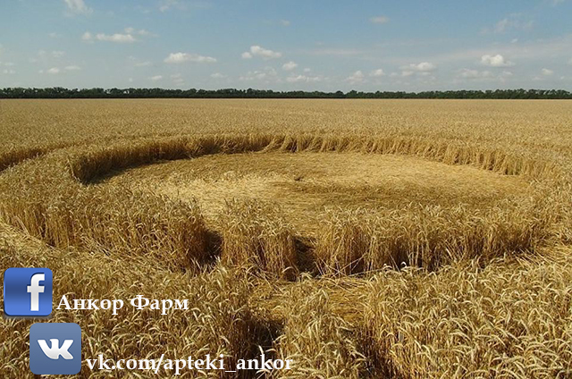 ̳�������� � ��������� ��� ����